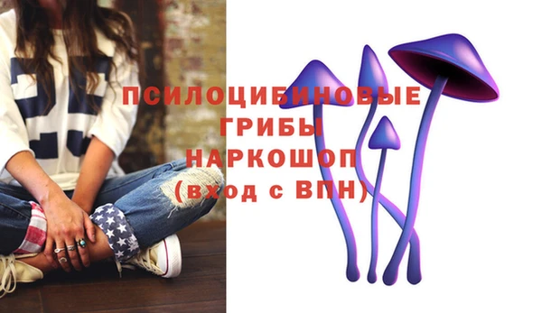 крисы Верхнеуральск