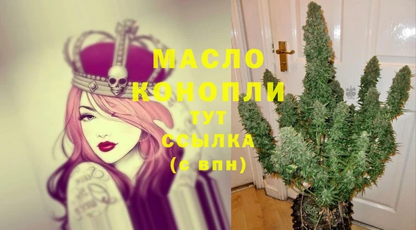 индика Бронницы